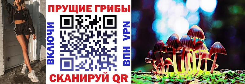 Псилоцибиновые грибы GOLDEN TEACHER МЕГА Кизляр