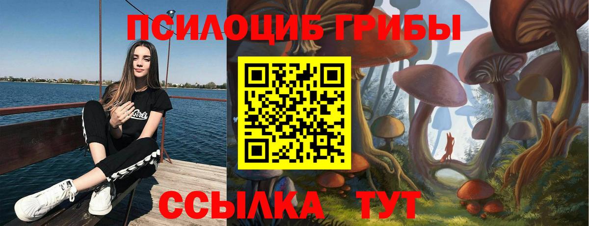 Галлюциногенные грибы GOLDEN TEACHER  Вход с VPN  Кизляр 