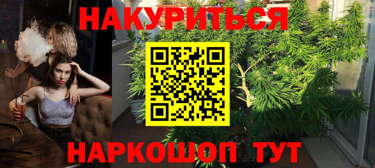 Шишки марихуана план  Бошки Шишки тримм  Канабис ГИДРОПОН  Кизляр  МАРИХУАНА SATIVA & INDICA  Вход с VPN 